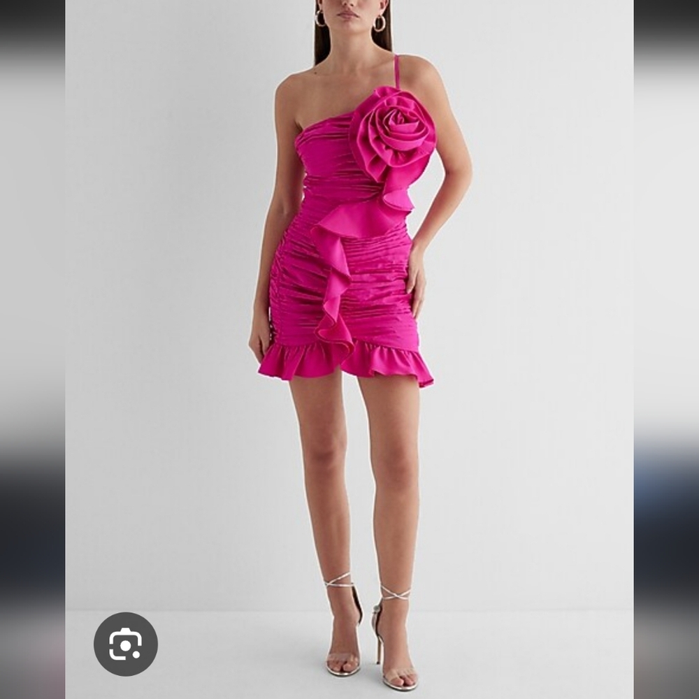 Express Rose Embellished Dress